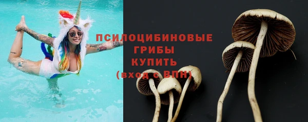 PSILOCYBIN Пролетарск