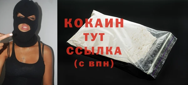амф Протвино