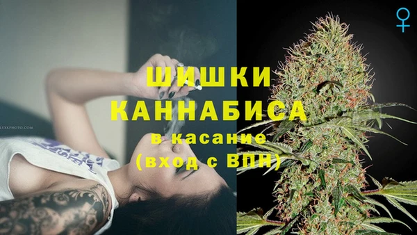 Альфа ПВП Покровск