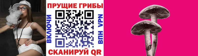купить наркотики сайты  Белореченск  Галлюциногенные грибы ЛСД 