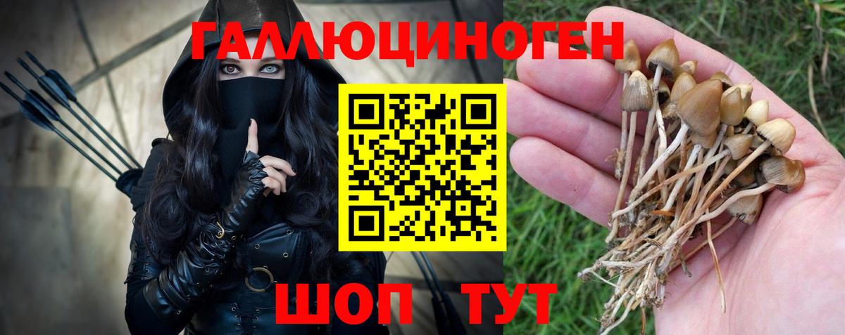 Белореченск  купить наркотики сайты  Псилоцибиновые грибы Psilocybe  Вход с VPN  Галлюциногенные грибы Psilocybine cubensis 